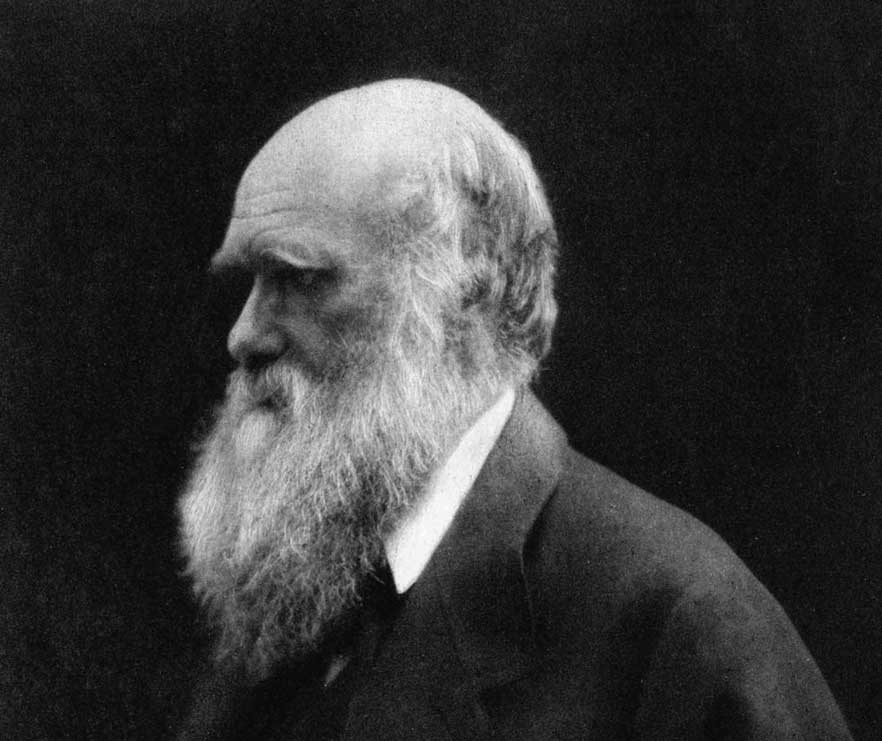 Churches of Darwin by Terrell Clemmons - Salvo Magazine